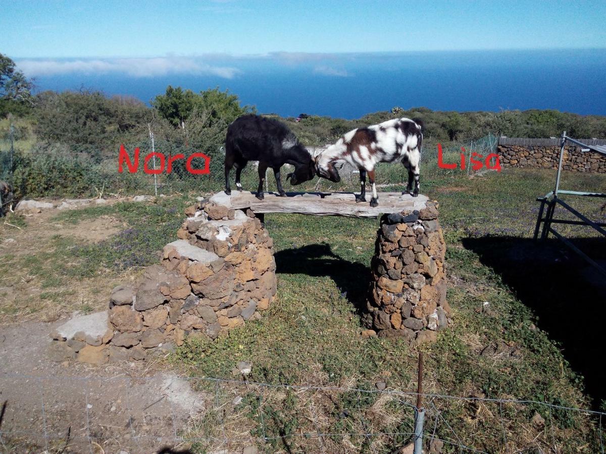 Finca La Ramona Isora エクステリア 写真